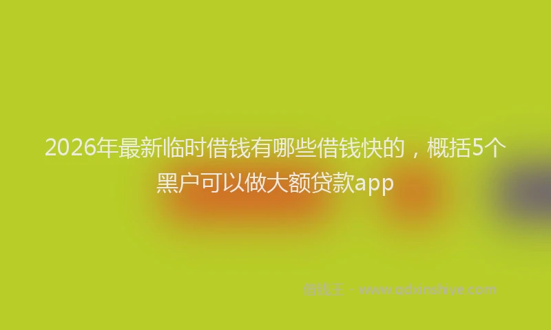 2026年最新临时借钱有哪些借钱快的，概括5个黑户可以做大额贷款app