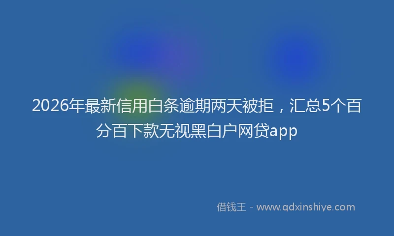 2026年最新信用白条逾期两天被拒,汇总5个百分百下款无视黑白户网贷app
