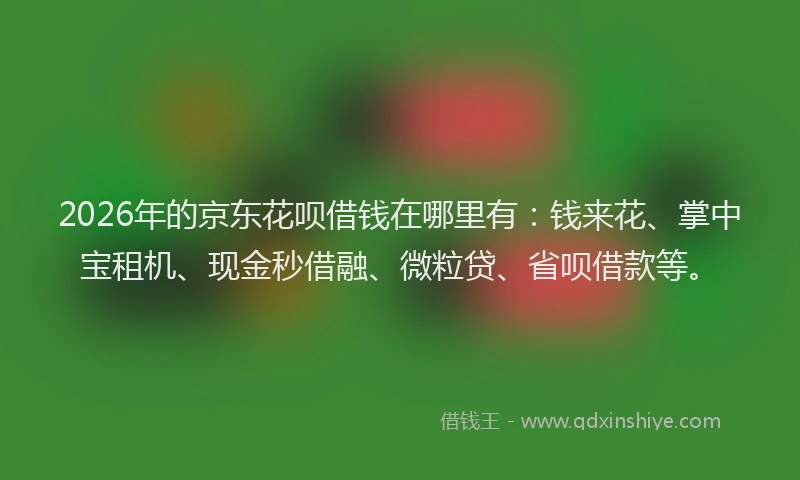 2026年的京东花呗借钱在哪里有：钱来花、掌中宝租机、现金秒借融、微粒贷、省呗借款等。