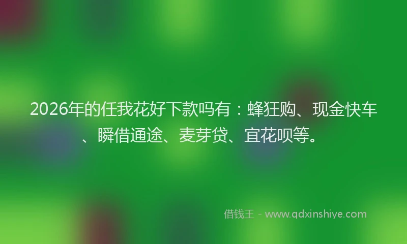 2026年的任我花好下款吗有:蜂狂购、现金快车、瞬借通途、麦芽贷、宜花呗等。