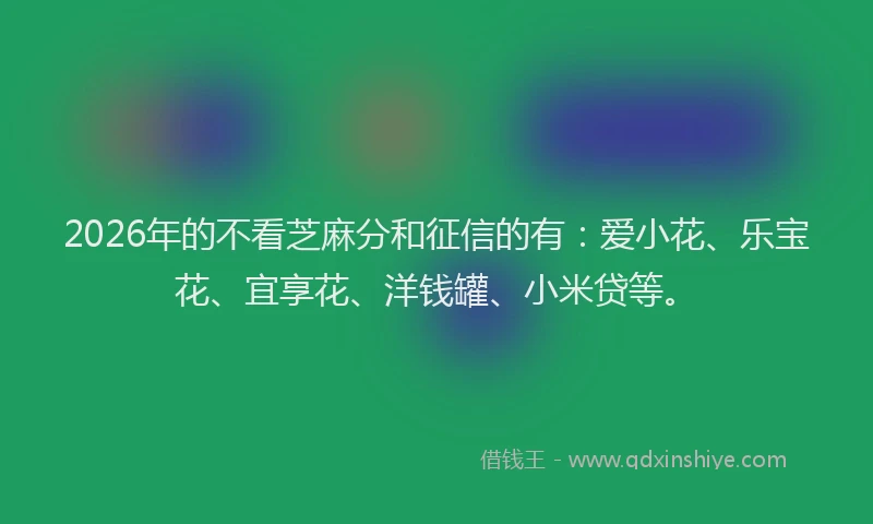 2026年的不看芝麻分和征信的有：爱小花、乐宝花、宜享花、洋钱罐、小米贷等。