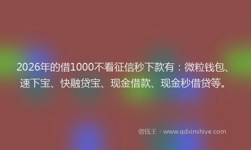 2026年的借1000不看征信秒下款有：微粒钱包、速下宝、快融贷宝、现金借款、现金秒借贷等。