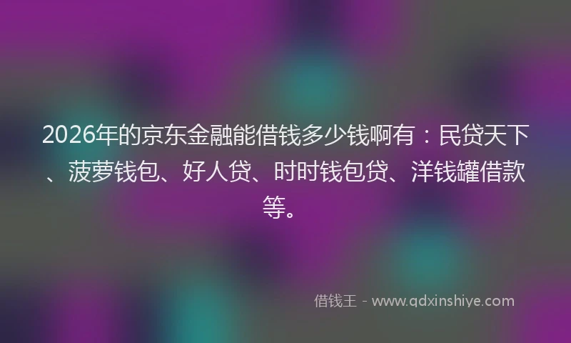 2026年的京东金融能借钱多少钱啊有：民贷天下、菠萝钱包、好人贷、时时钱包贷、洋钱罐借款等。