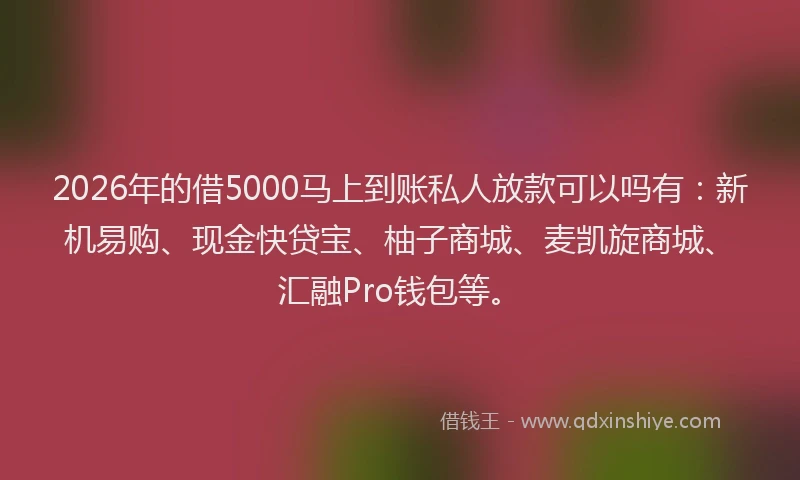 2026年的借5000马上到账私人放款可以吗有：新机易购、现金快贷宝、柚子商城、麦凯旋商城、汇融Pro钱包等。