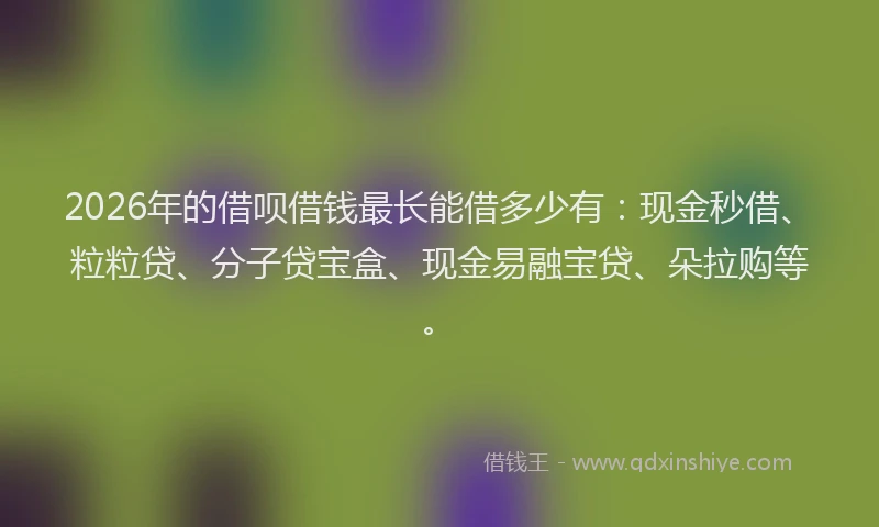 2026年的借呗借钱最长能借多少有：现金秒借、粒粒贷、分子贷宝盒、现金易融宝贷、朵拉购等。