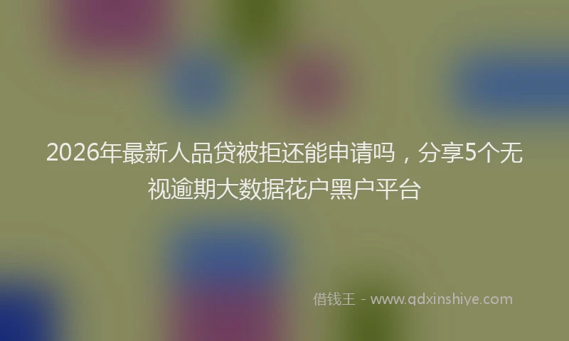 2026年最新人品贷被拒还能申请吗，分享5个无视逾期大数据花户黑户平台