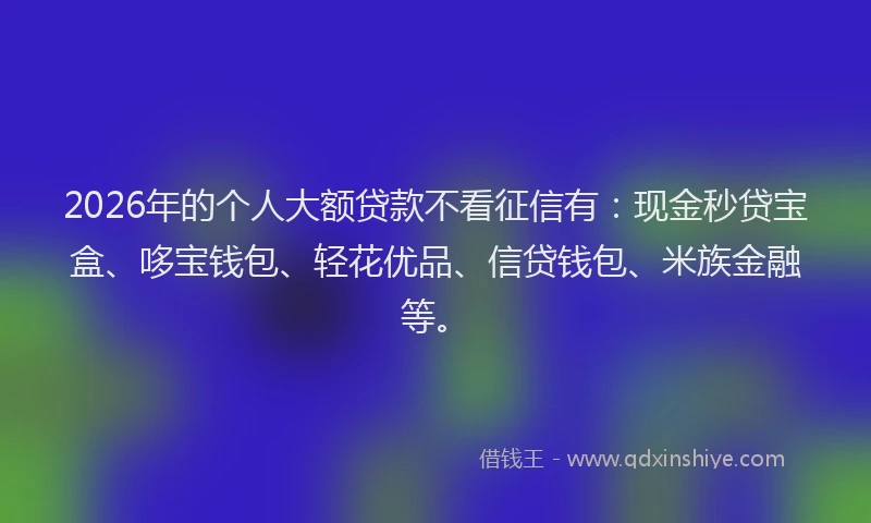 2026年的个人大额贷款不看征信有:现金秒贷宝盒、哆宝钱包、轻花优品、信贷钱包、米族金融等。
