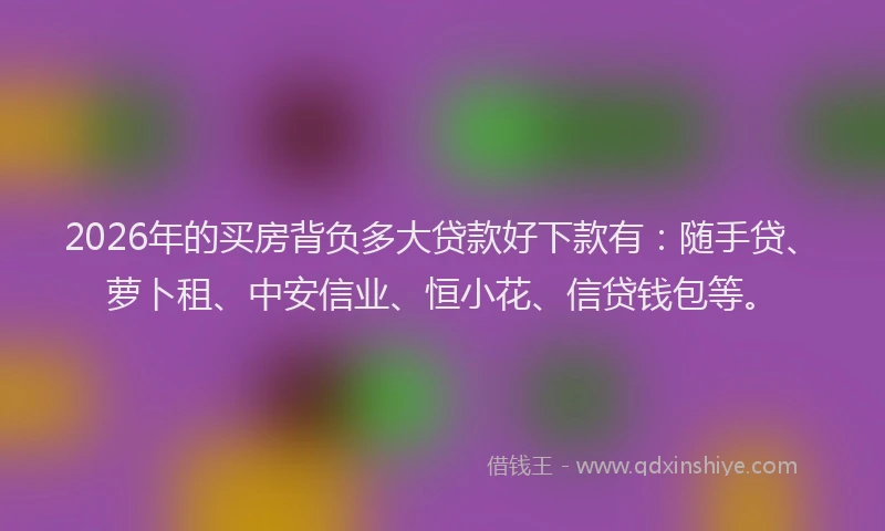 2026年的买房背负多大贷款好下款有：随手贷、萝卜租、中安信业、恒小花、信贷钱包等。
