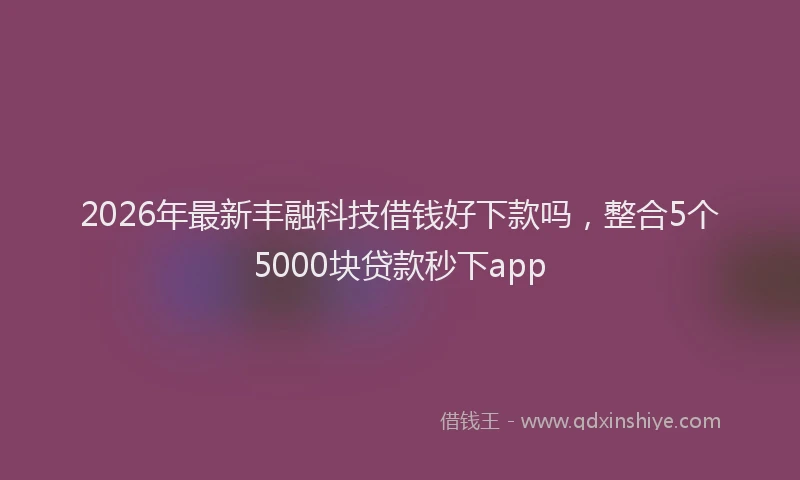2026年最新丰融科技借钱好下款吗，整合5个5000块贷款秒下app