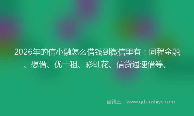 2026年的信小融怎么借钱到微信里有：同程金融、想借、优一租、彩虹花、信贷通速借等。