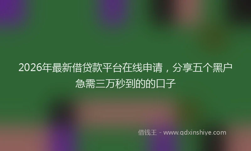 2026年最新借贷款平台在线申请，分享五个黑户急需三万秒到的的口子