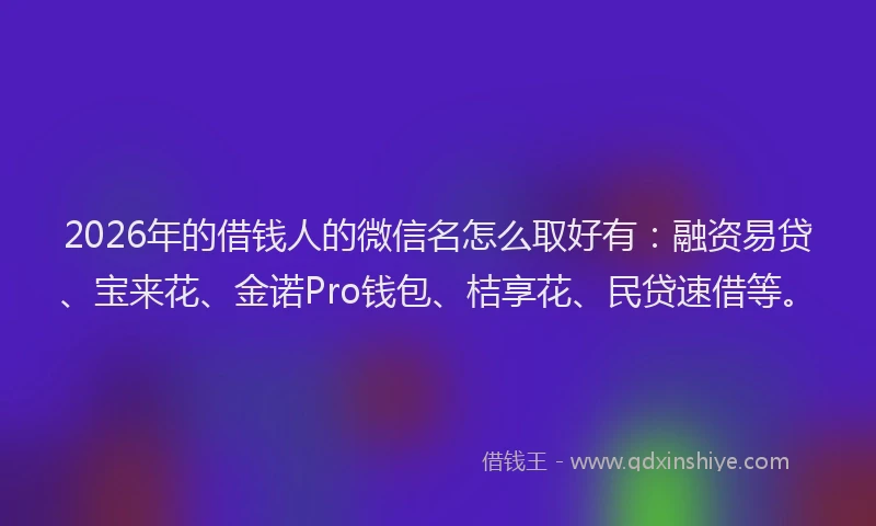 2026年的借钱人的微信名怎么取好有:融资易贷、宝来花、金诺Pro钱包、桔享花、民贷速借等。