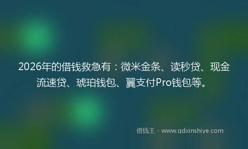 2026年的借钱救急有:微米金条、读秒贷、现金流速贷、琥珀钱包、翼支付Pro钱包等。