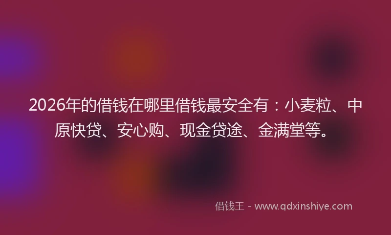 2026年的借钱在哪里借钱最安全有：小麦粒、中原快贷、安心购、现金贷途、金满堂等。