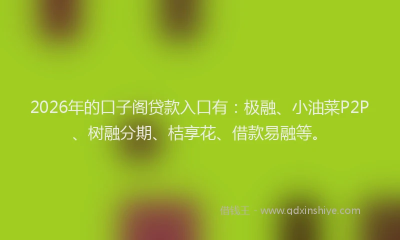 2026年的口子阁贷款入口有:极融、小油菜P2P、树融分期、桔享花、借款易融等。