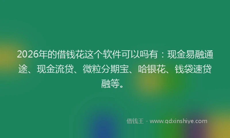 2026年的借钱花这个软件可以吗有:现金易融通途、现金流贷、微粒分期宝、哈银花、钱袋速贷融等。