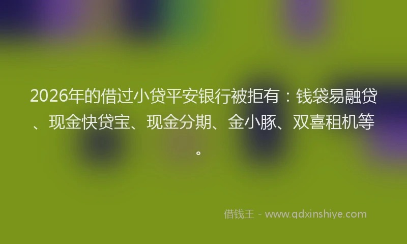 2026年的借过小贷平安银行被拒有：钱袋易融贷、现金快贷宝、现金分期、金小豚、双喜租机等。