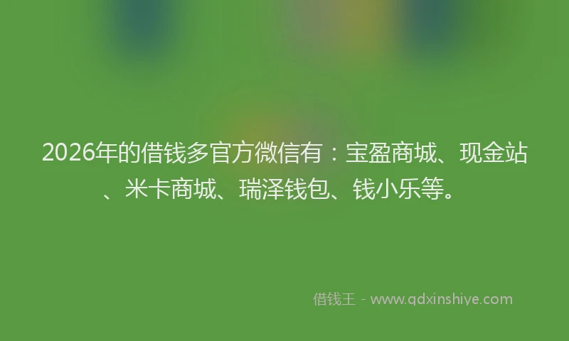 2026年的借钱多官方微信有：宝盈商城、现金站、米卡商城、瑞泽钱包、钱小乐等。