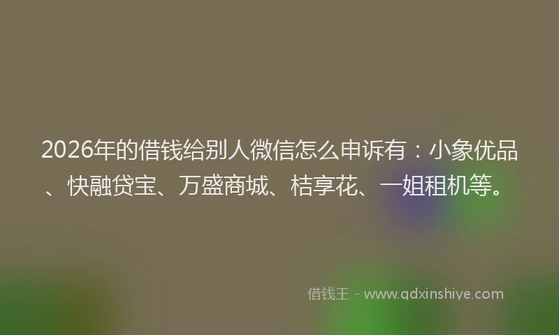 2026年的借钱给别人微信怎么申诉有：小象优品、快融贷宝、万盛商城、桔享花、一姐租机等。