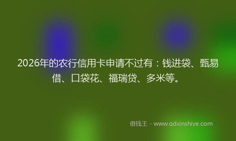 2026年的农行信用卡申请不过有：钱进袋、甄易借、口袋花、福瑞贷、多米等。