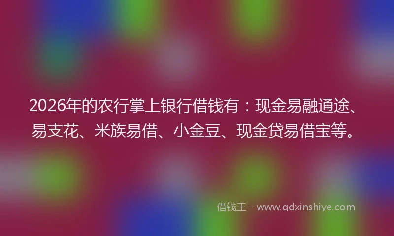 2026年的农行掌上银行借钱有：现金易融通途、易支花、米族易借、小金豆、现金贷易借宝等。