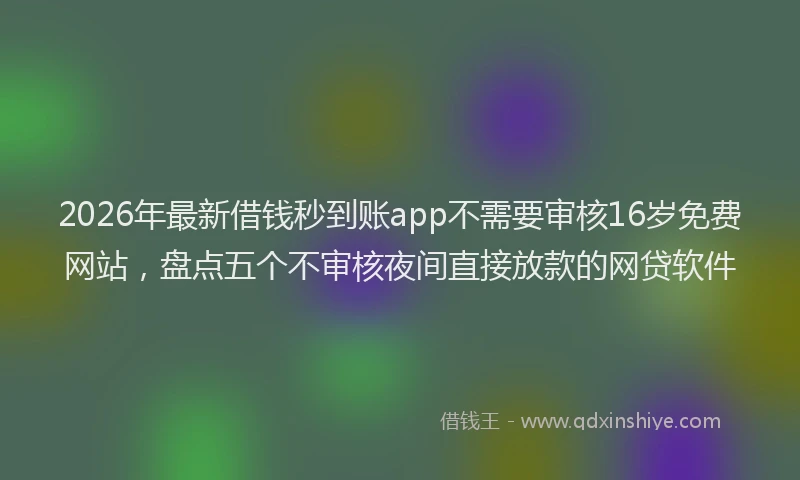 2026年最新借钱秒到账app不需要审核16岁免费网站，盘点五个不审核夜间直接放款的网贷软件