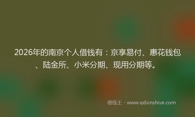 2026年的南京个人借钱有：京享易付、惠花钱包、陆金所、小米分期、现用分期等。
