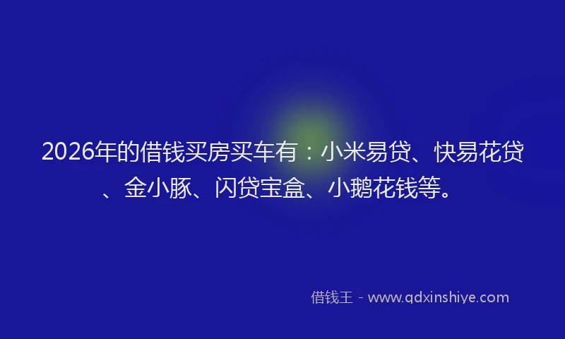 2026年的借钱买房买车有:小米易贷、快易花贷、金小豚、闪贷宝盒、小鹅花钱等。