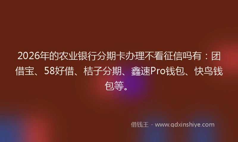 2026年的农业银行分期卡办理不看征信吗有：团借宝、58好借、桔子分期、鑫速Pro钱包、快鸟钱包等。