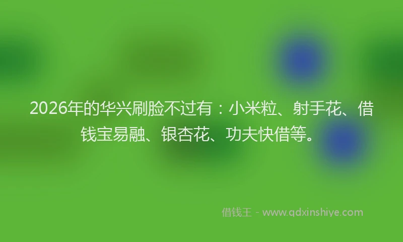 2026年的华兴刷脸不过有：小米粒、射手花、借钱宝易融、银杏花、功夫快借等。