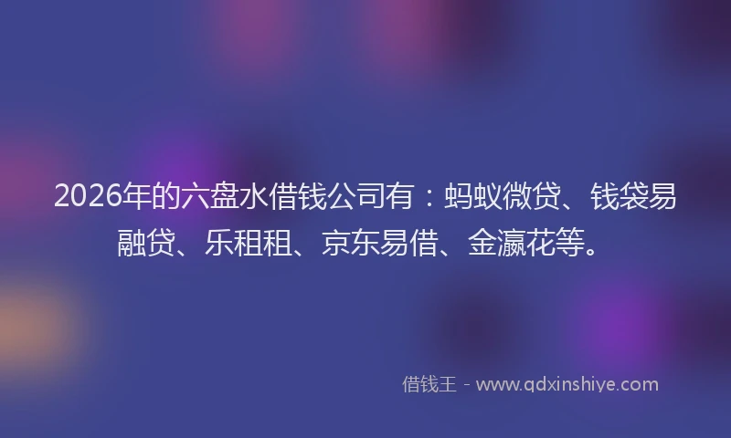 2026年的六盘水借钱公司有:蚂蚁微贷、钱袋易融贷、乐租租、京东易借、金瀛花等。