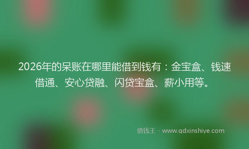 2026年的呆账在哪里能借到钱有：金宝盒、钱速借通、安心贷融、闪贷宝盒、薪小用等。