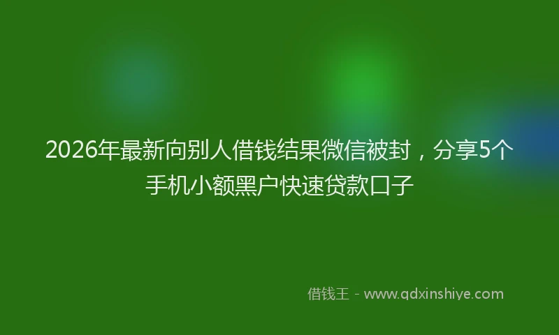 2026年最新向别人借钱结果微信被封，分享5个手机小额黑户快速贷款口子