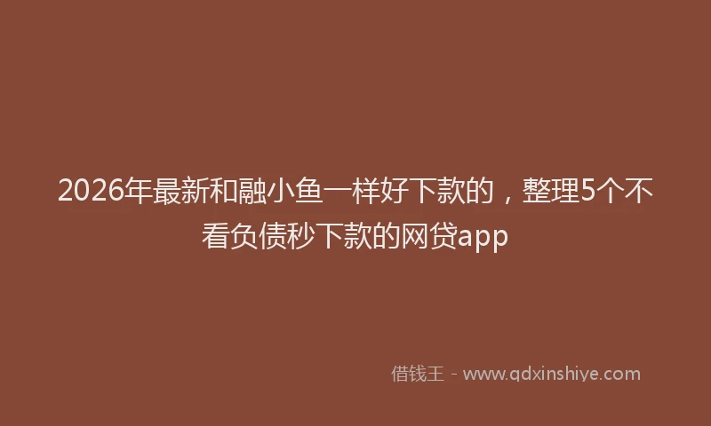 2026年最新和融小鱼一样好下款的，整理5个不看负债秒下款的网贷app