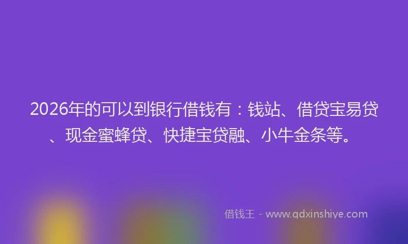 2026年的可以到银行借钱有：钱站、借贷宝易贷、现金蜜蜂贷、快捷宝贷融、小牛金条等。