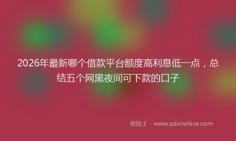 2026年最新哪个借款平台额度高利息低一点，总结五个网黑夜间可下款的口子