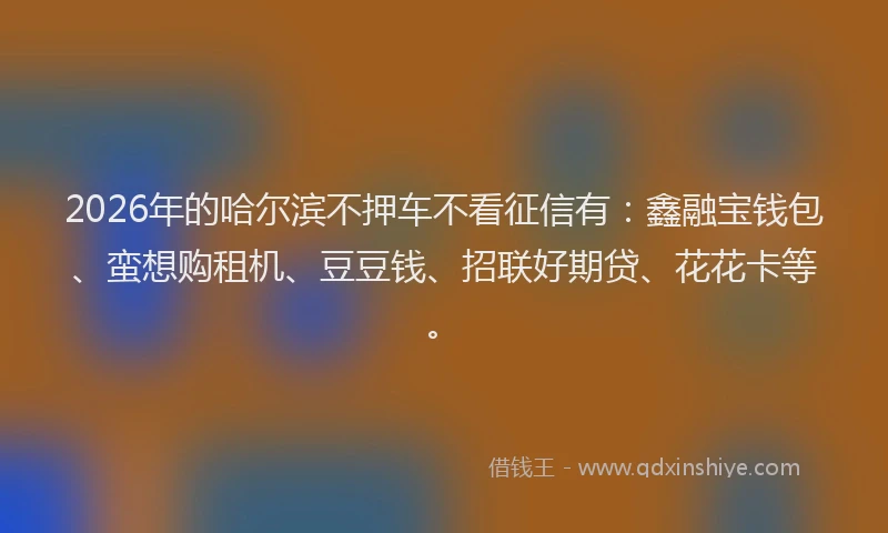2026年的哈尔滨不押车不看征信有：鑫融宝钱包、蛮想购租机、豆豆钱、招联好期贷、花花卡等。