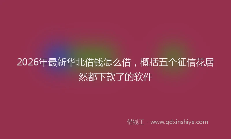 2026年最新华北借钱怎么借，概括五个征信花居然都下款了的软件