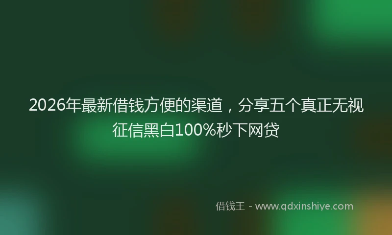2026年最新借钱方便的渠道,分享五个真正无视征信黑白100%秒下网贷