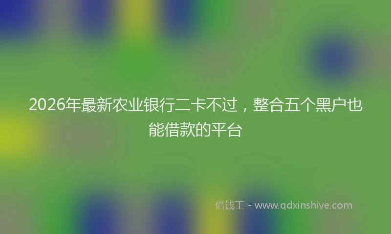 2026年最新农业银行二卡不过，整合五个黑户也能借款的平台