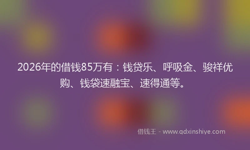 2026年的借钱85万有:钱贷乐、呼吸金、骏祥优购、钱袋速融宝、速得通等。