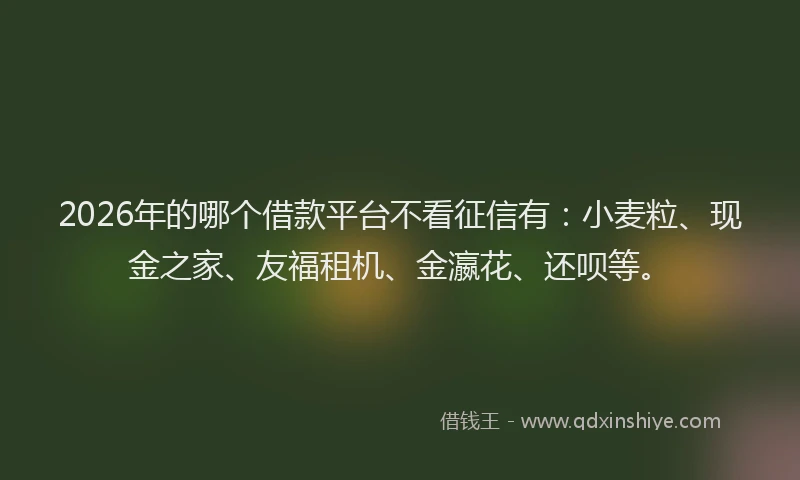 2026年的哪个借款平台不看征信有：小麦粒、现金之家、友福租机、金瀛花、还呗等。