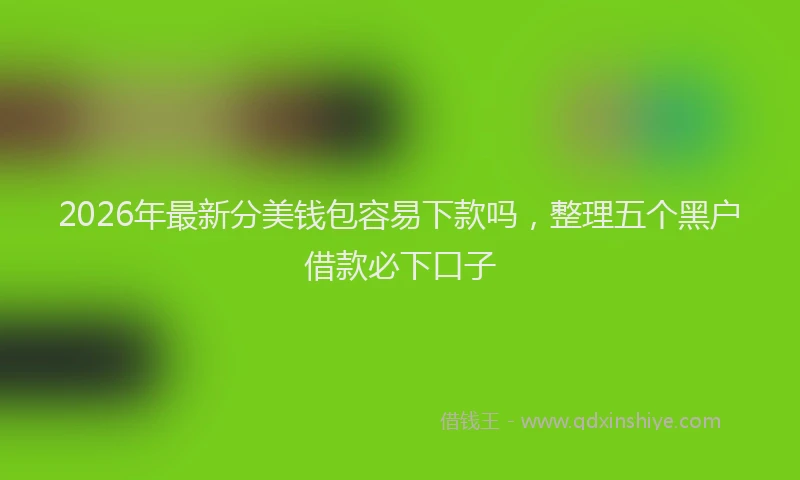 2026年最新分美钱包容易下款吗，整理五个黑户借款必下口子
