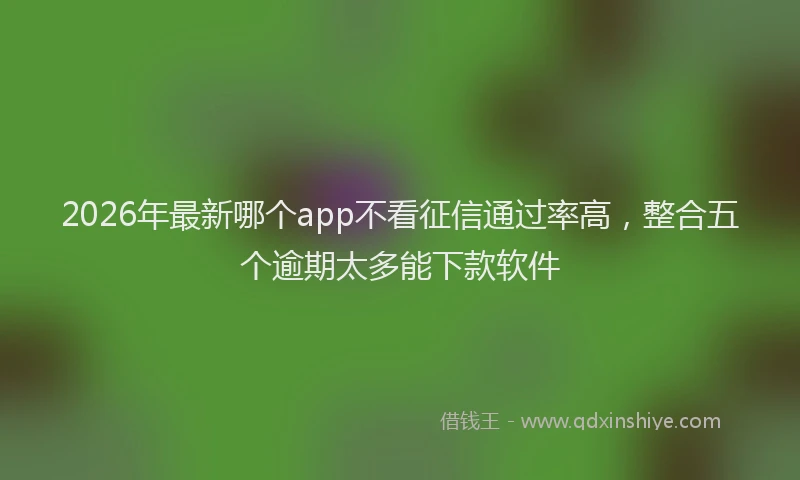 2026年最新哪个app不看征信通过率高，整合五个逾期太多能下款软件