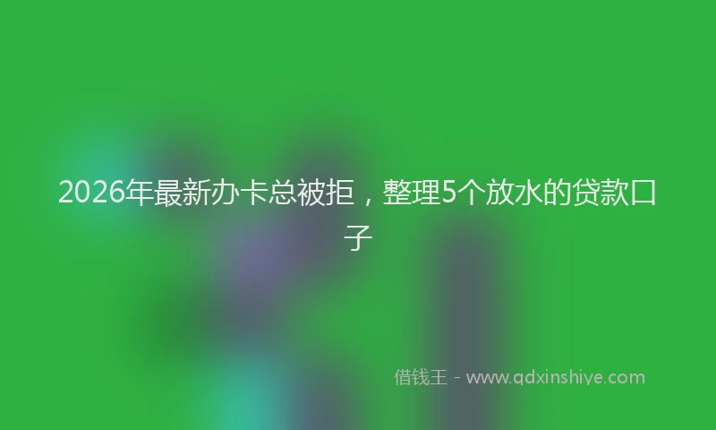 2026年最新办卡总被拒,整理5个放水的贷款口子