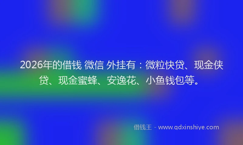 2026年的借钱 微信 外挂有：微粒快贷、现金侠贷、现金蜜蜂、安逸花、小鱼钱包等。
