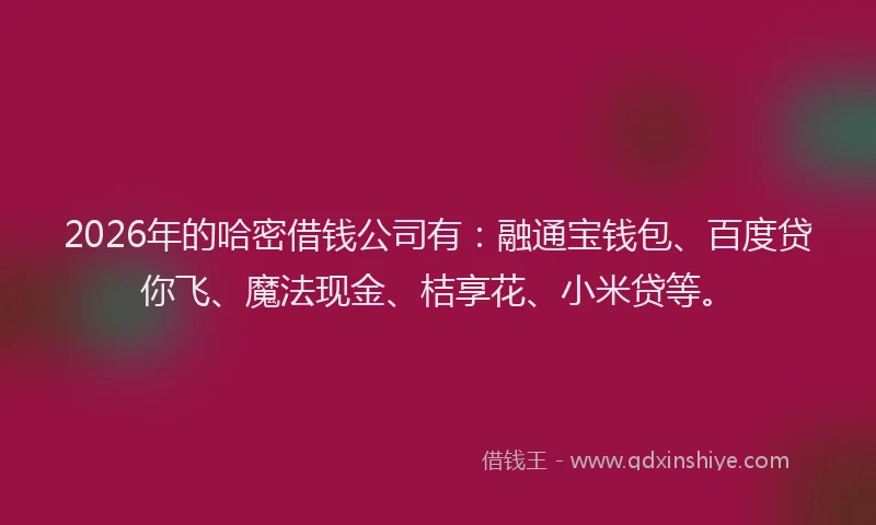 2026年的哈密借钱公司有：融通宝钱包、百度贷你飞、魔法现金、桔享花、小米贷等。