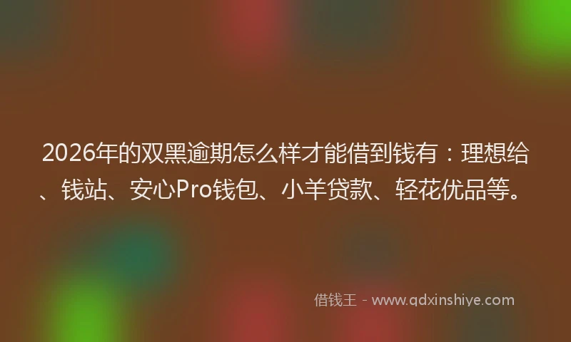 2026年的双黑逾期怎么样才能借到钱有：理想给、钱站、安心Pro钱包、小羊贷款、轻花优品等。