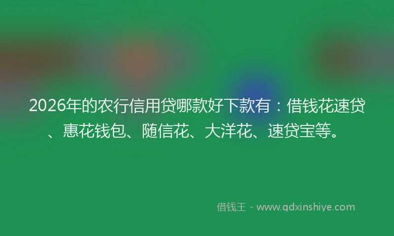2026年的农行信用贷哪款好下款有：借钱花速贷、惠花钱包、随信花、大洋花、速贷宝等。
