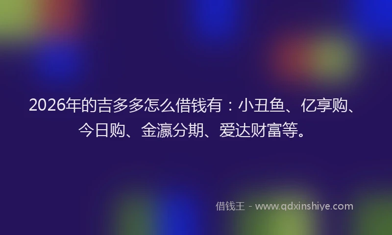2026年的吉多多怎么借钱有:小丑鱼、亿享购、今日购、金瀛分期、爱达财富等。